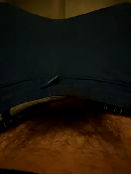 Theanimals online show from November 15, 2025, 12:03 am