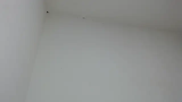 drako monster online show from January 31, 2026, 9:46 pm