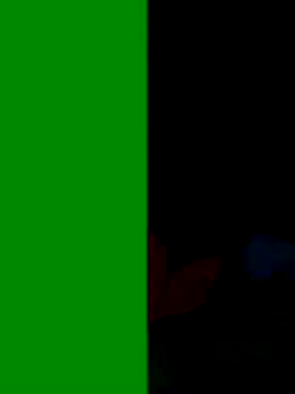 Co punam online show from November 3, 2025, 3:23 am