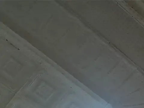 EsotericPaloma online show from October 24, 2025, 7:13 pm