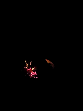 Snapshot of Floridaboy863 chatting on February 5, 2026, 3:35 am Floridaboy863 online show from February 5, 2026, 3:35 am