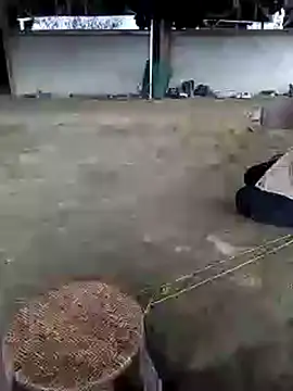 marylove-cc online show from November 20, 2025, 2:12 am