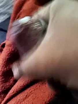 lexxymoron online show from November 15, 2025, 2:59 am