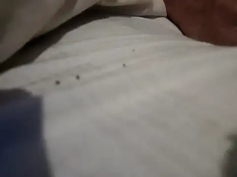 jjLARAY online show from February 15, 2026, 10:36 am