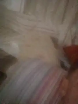 Graimito online show from October 11, 2025, 11:00 am