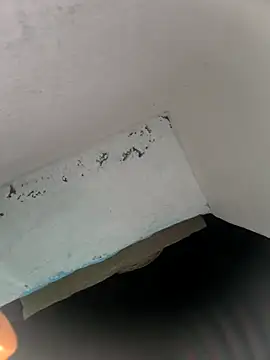 rasmi powar online show from November 8, 2025, 11:08 pm