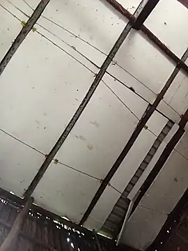 Cherry pusy99 online show from November 14, 2025, 1:09 am