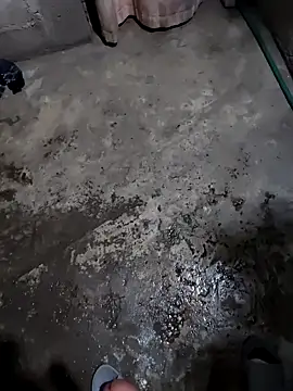 Senseimaster5 online show from November 26, 2025, 10:48 am