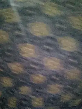 Tanha18 online show from December 5, 2025, 7:01 pm