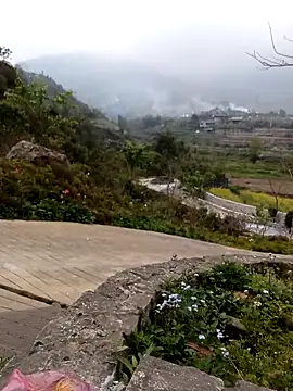 siusiu-00 online show from March 3, 2026, 4:41 am