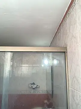 La-Gatiita-trans online show from April 7, 2026, 1:57 pm