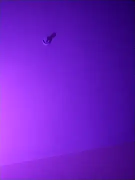 checheludo23 online show from April 16, 2026, 11:11 am