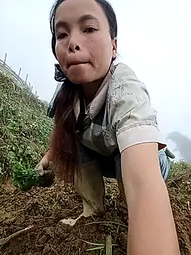 Nguyet2k4 online show from November 12, 2025, 7:12 am