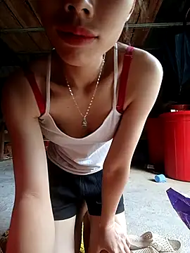 -Kem-01 online show from November 15, 2025, 1:42 am