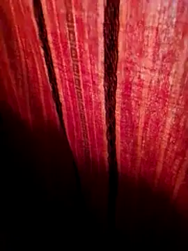 svk 05 online show from November 12, 2025, 1:21 am