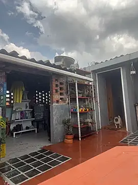 Leonardmoppet online show from October 23, 2025, 5:55 pm