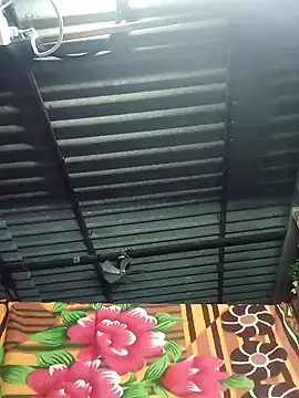 Rajni chauhan online show from November 7, 2025, 9:41 pm