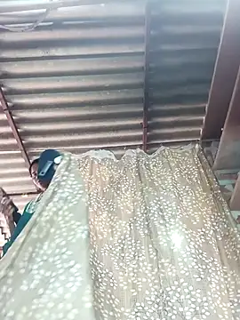 Rajni chauhan online show from December 16, 2025, 9:24 am