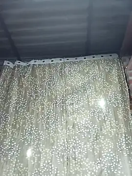 Rajni chauhan online show from November 12, 2025, 5:06 pm