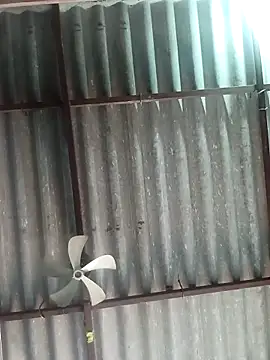 Rajni chauhan online show from November 6, 2025, 6:06 am