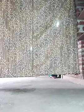 Rajni chauhan online show from December 14, 2025, 8:20 am