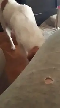 goloso80 online show from October 22, 2025, 1:10 pm