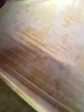 Snapshot of Cogelonregio chatting on October 19, 2025, 4:43 pm Cogelonregio online show from October 19, 2025, 4:43 pm