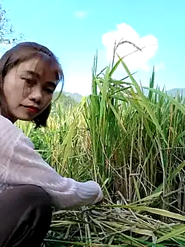 Snapshot of omai-ngot chatting on October 23, 2025, 1:48 am omai-ngot online show from October 23, 2025, 1:48 am