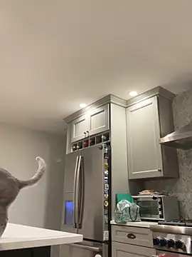 1totangox online show from November 30, 2025, 12:22 am