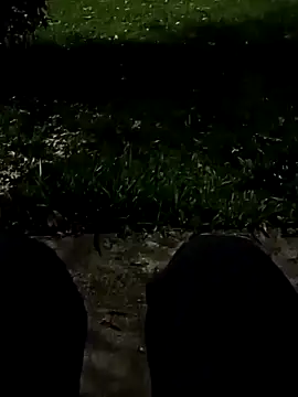 roludao fun online show from November 10, 2025, 10:48 pm