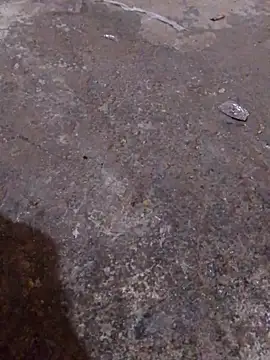 Orlao25cm online show from November 16, 2025, 4:39 am