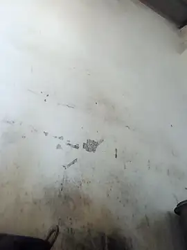 CUTE kalpna online show from January 17, 2026, 4:16 am