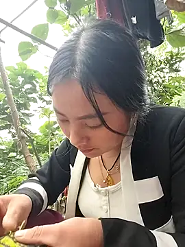 Sinhlinh2020 online show from November 4, 2025, 8:51 am