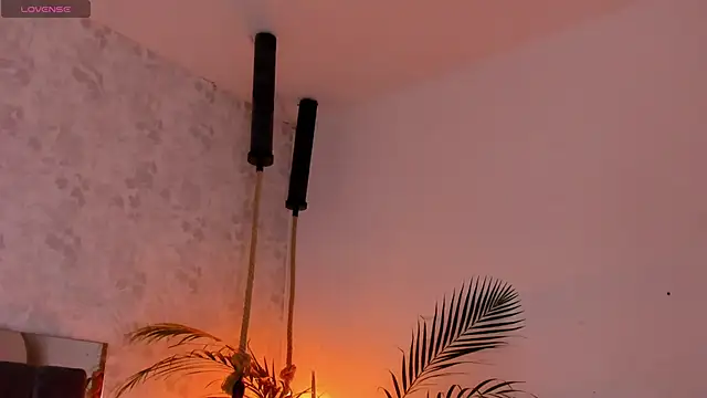 david lux online show from November 5, 2025, 12:08 pm