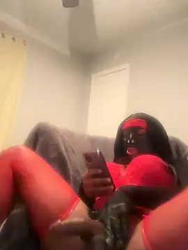 Owlpow online show from November 27, 2025, 8:04 am