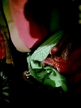 Hot cauple indian online show from December 1, 2025, 3:57 pm