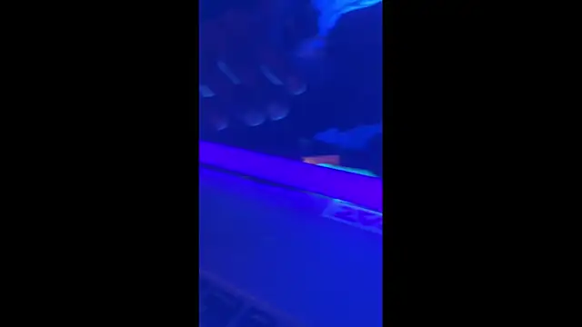 Snapshot of misterincred chatting on November 30, 2025, 6:03 am misterincred online show from November 30, 2025, 6:03 am