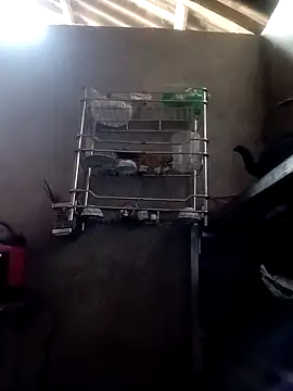 kokoto-59 online show from February 28, 2026, 6:46 am