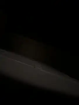 bart98geil online show from April 6, 2026, 3:13 am