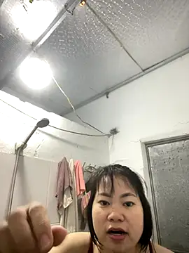 Deer nice online show from November 6, 2025, 12:31 pm