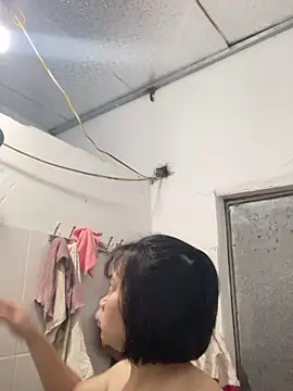 Deer nice online show from November 22, 2025, 1:43 pm