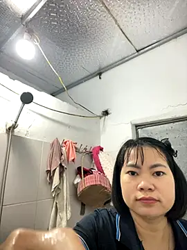 Deer nice online show from November 26, 2025, 2:50 pm