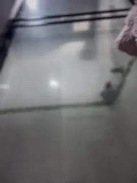 Violeet-Smith online show from March 27, 2026, 2:51 pm