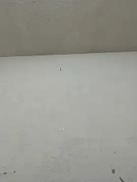 Chicattoo69 online show from November 20, 2025, 6:08 pm