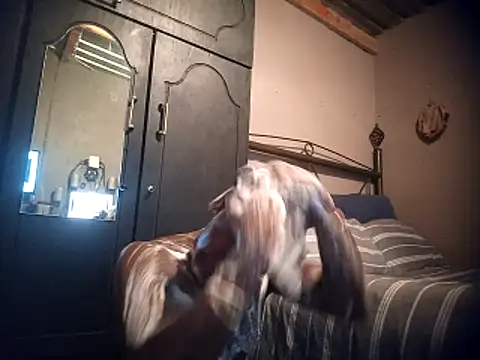 Pussylover911o online show from November 23, 2025, 2:43 am