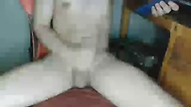 Snapshot of DevilDgrim chatting on May 25, 2026, 1:16 am DevilDgrim online show from May 25, 2026, 1:16 am