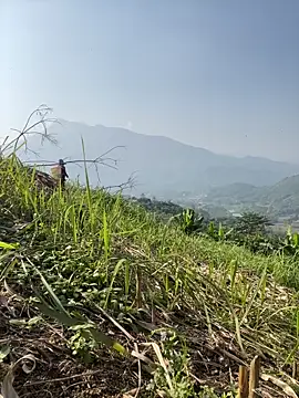 Irin jo online show from November 23, 2025, 6:45 am