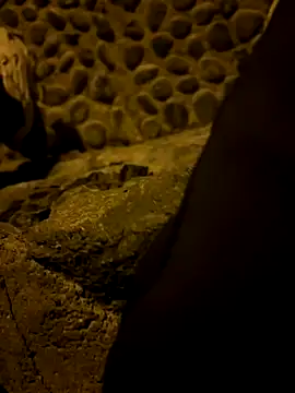 Rico1 1 online show from November 14, 2025, 9:40 pm