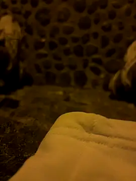 Rico1 1 online show from November 18, 2025, 10:45 pm