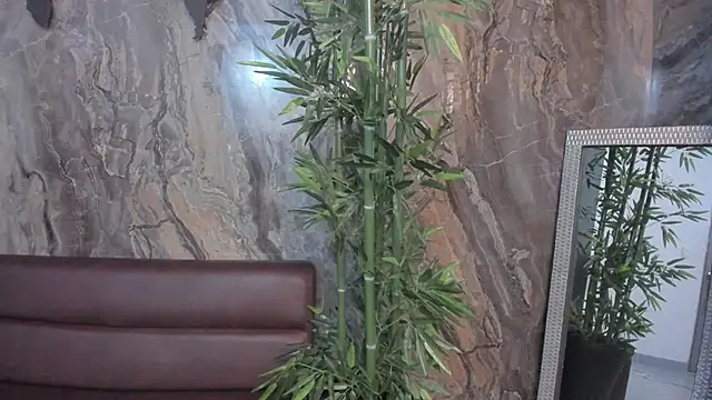 sydney miller  online show from November 13, 2025, 11:30 pm